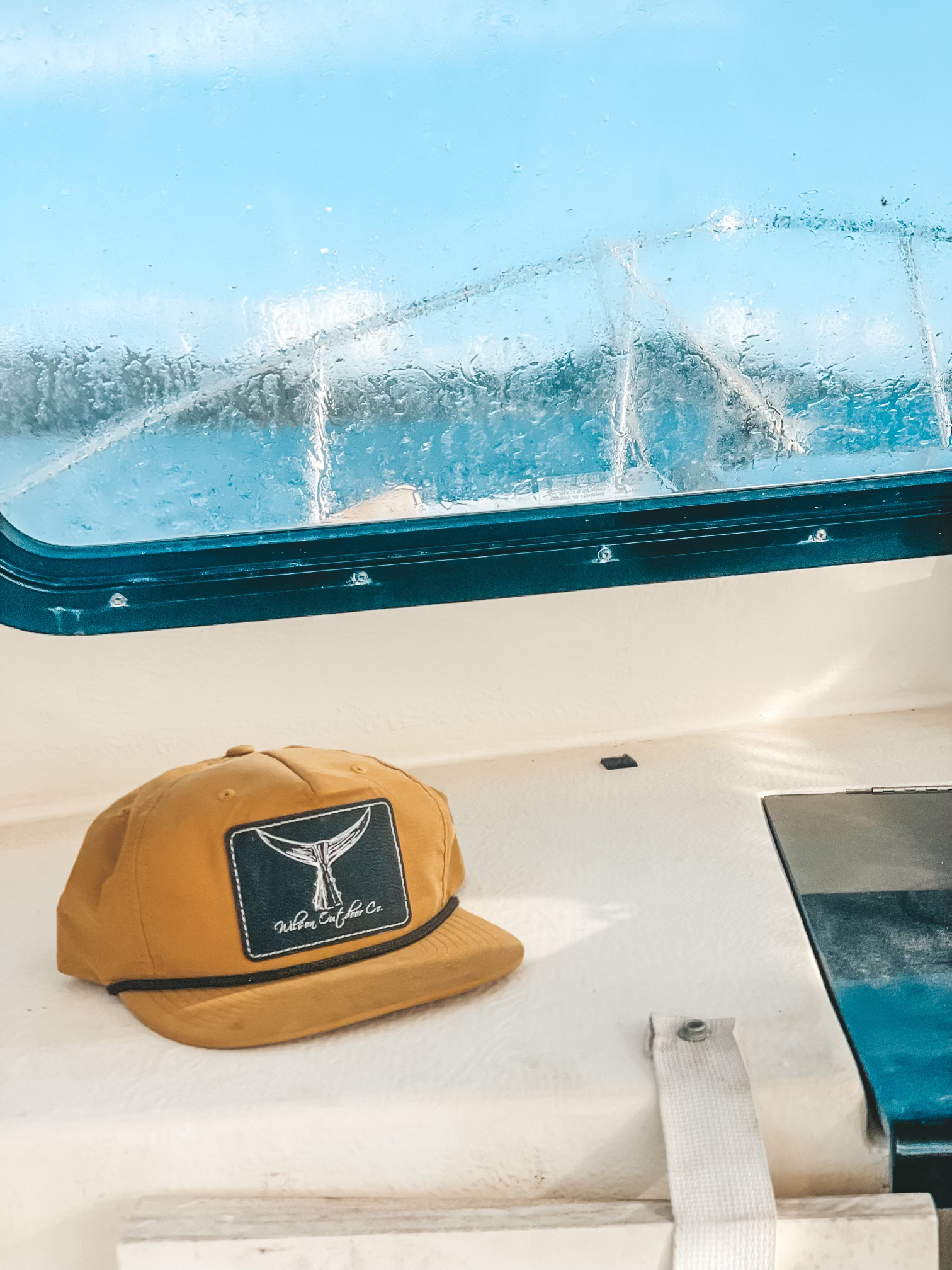 Wilson Outdoor Co. Hat Brown #2